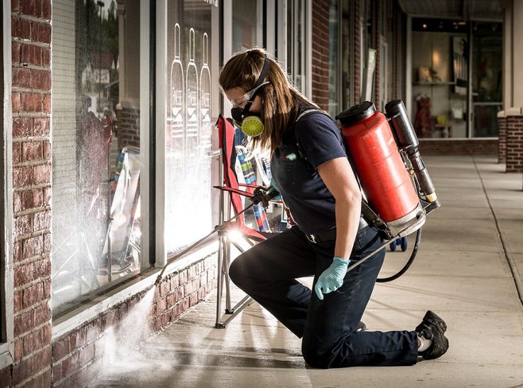 Residential Pest Spray Services in Miami, FL