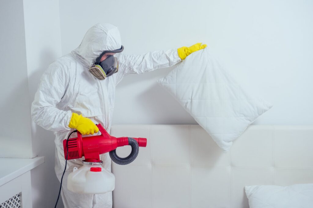 bed bug control spray services