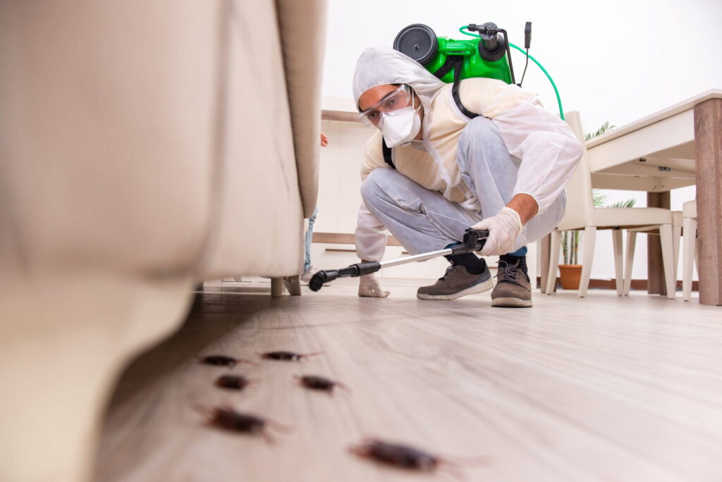 cockroach spray control services