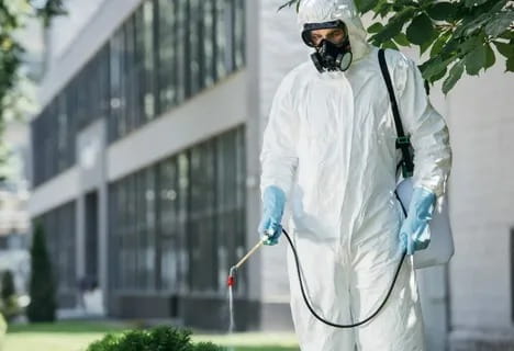 Commercial Pest Spray Services