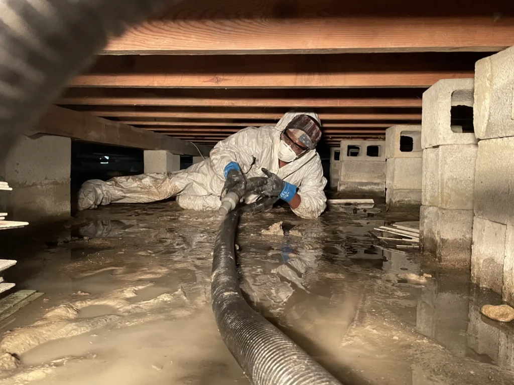 Crawl Space Pest Control