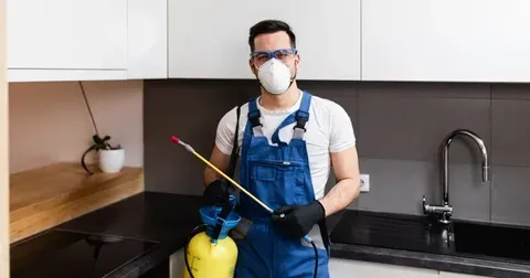 earwig spray control services