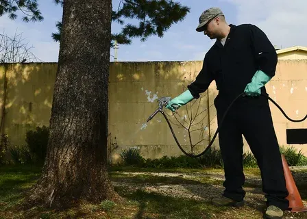 Eco Friendly Pest Control Services