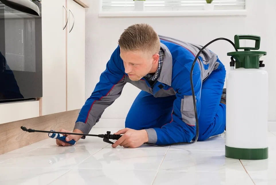 Pest Control Services