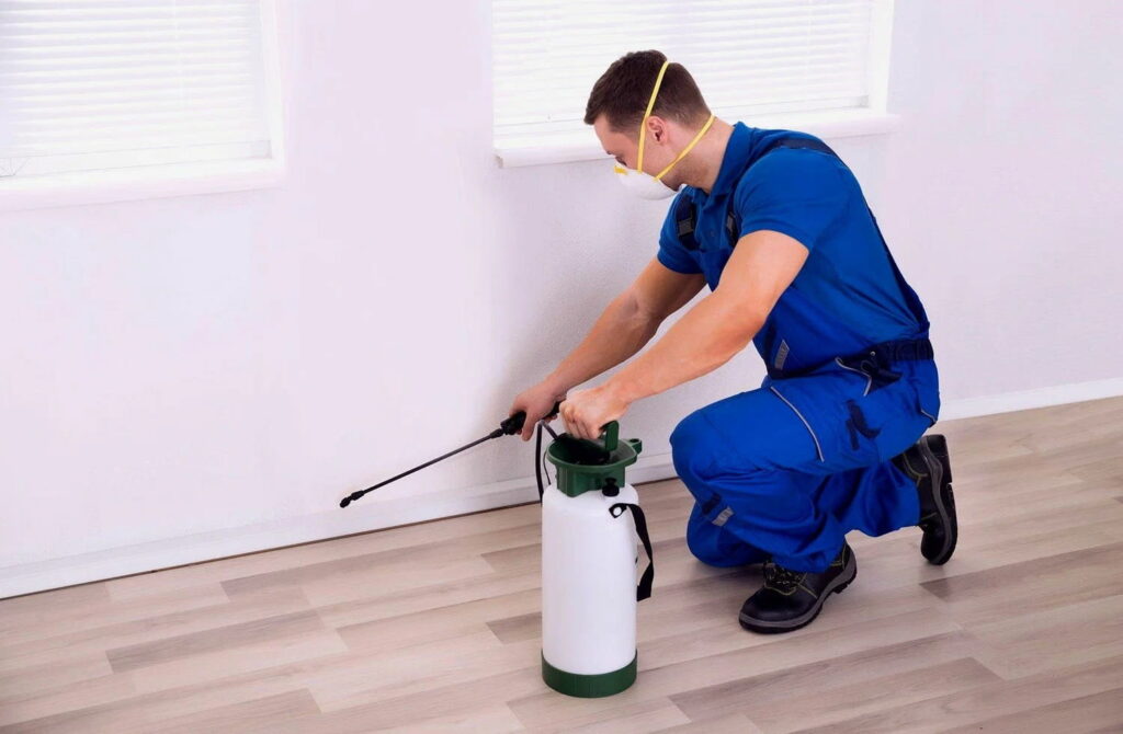 Flea Control Solutions