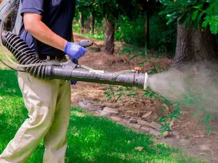 flea spray treatment