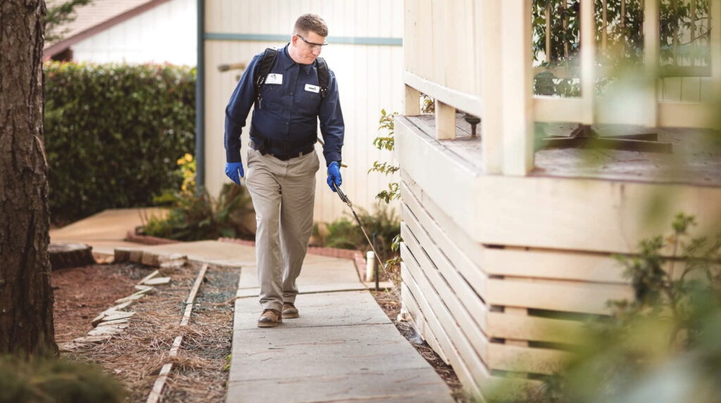 general pest spray control