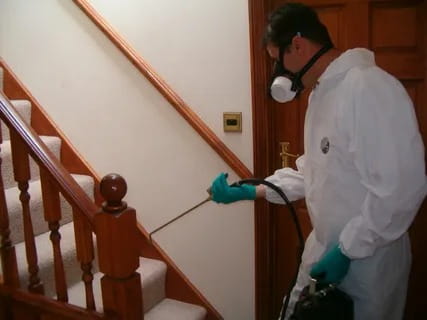 Indoor Pest Spray Treatment