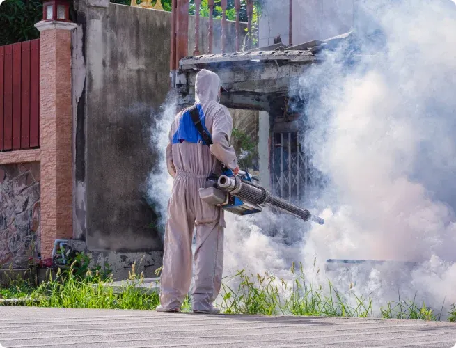 Mosquito Control