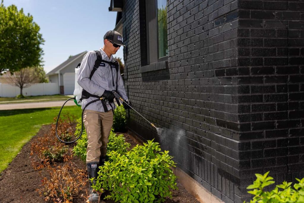 Outdoor Pest Spray