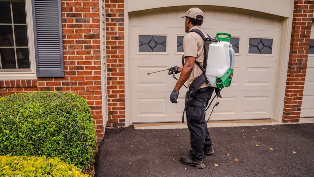 outdoor pest spray treatment