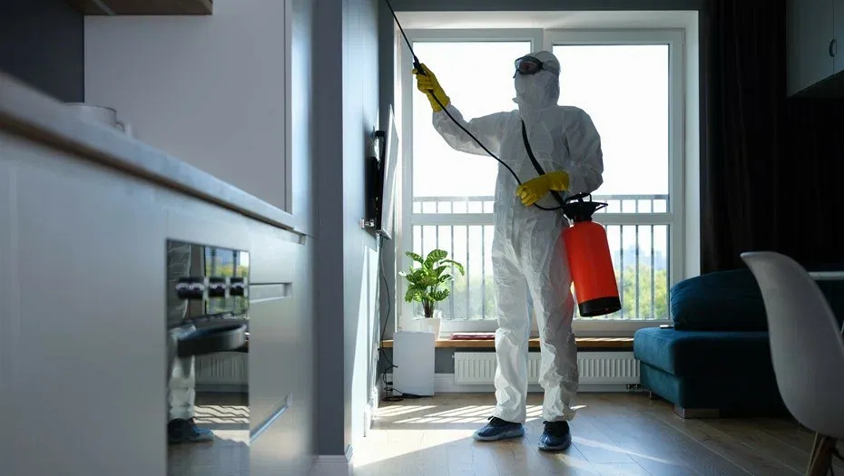 Pest Inspection Services