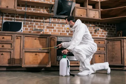 silverfish spray treatment services