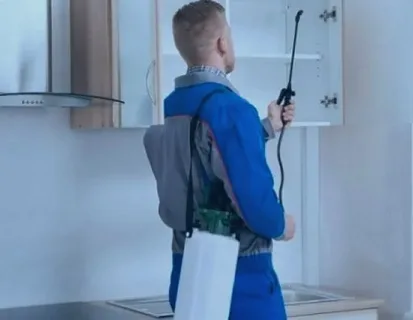 silverfish spray treatment
