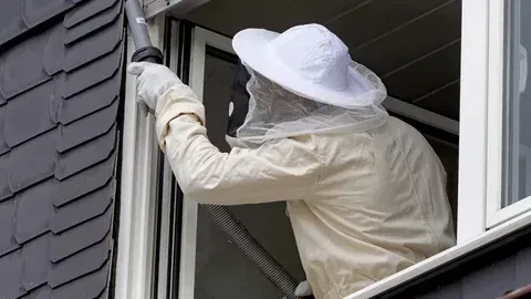 wasp nest spray treatment