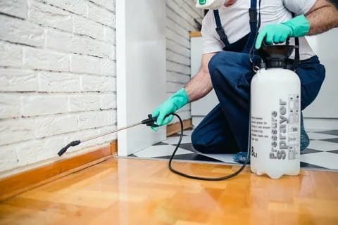 Pest Control