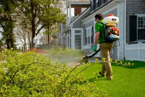 Pest Services