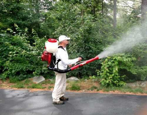 Residential Pest Spray Services in Miami, FL
