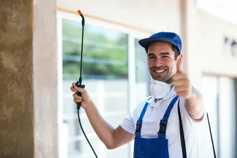 bed bug spray control services