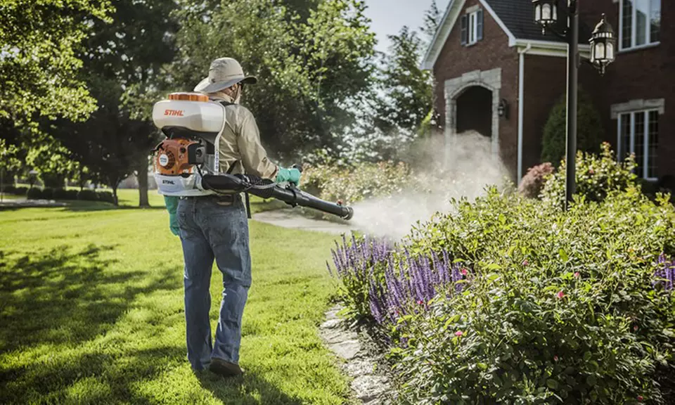 Lawn Insect Spray Services