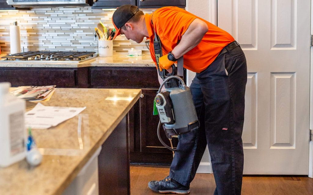 Pantry Pest Spray Control