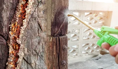 Termite Barrier Spray Treatment