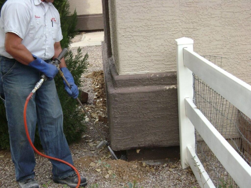 Ant control